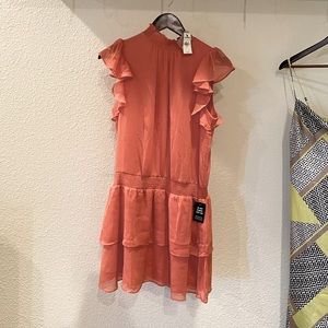 Brand New Express Dress